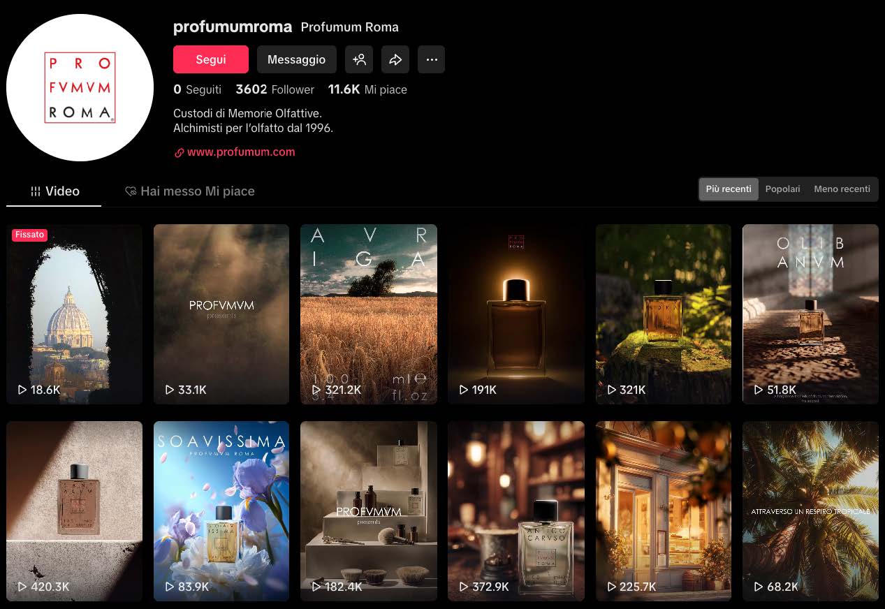 Report annuale TikTok 2025 di Profumum Roma con visualizzazioni e fonti di traffico