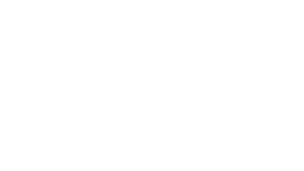 Logo Accademia Nazionale di Danza. Corsi di danza a Roma.