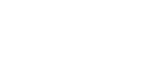 Logo enerfin