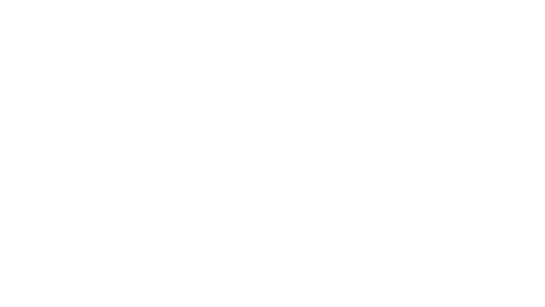 Logo pandora