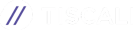 Logo Tiscali: cerchio bianco con due barre blu oblique, affiancato dal nome "TISCALI" in bianco. Telecomunicazioni e internet in Italia.